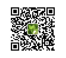 k8凯发天生赢家一触即发十大顶级电子表科技研发科技计划项目是